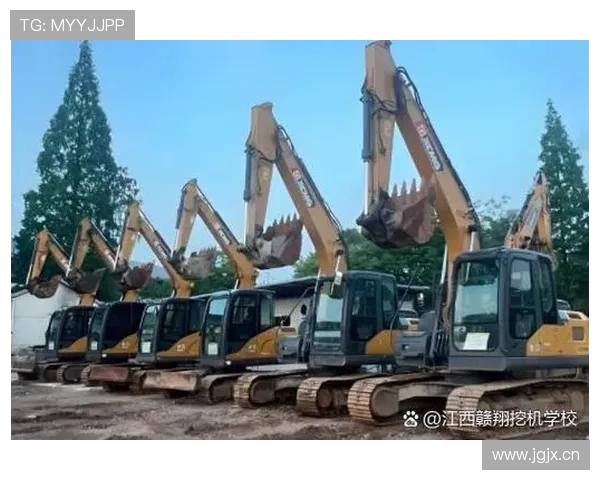 挖掘机主泵斜盘摆角传感器校准